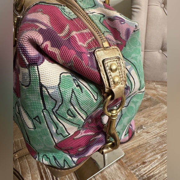 Coach Ashley - Picture 15 of 16